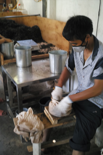 漫撒一水紅餅2016年