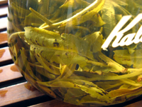 攸楽山古樹春茶09年