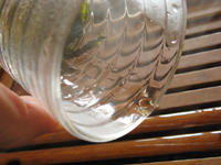 攸楽山古樹春茶09年