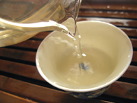 攸楽山古樹春茶09年