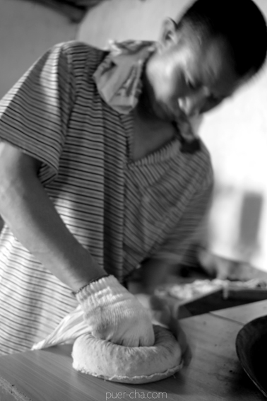 易武古樹青餅プーアル茶