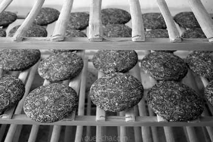 易武古樹青餅プーアル茶