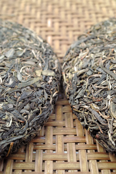 易武古樹青餅プーアル茶