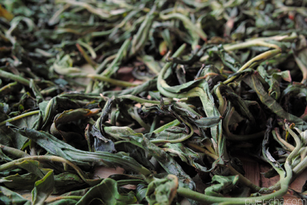 易武古樹青餅プーアル茶