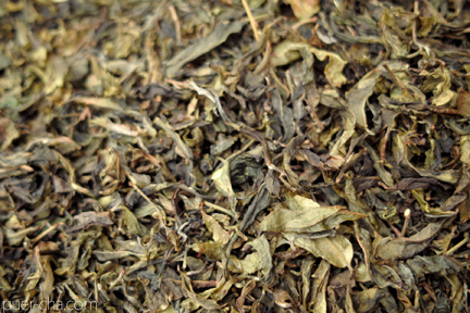 易武古樹青餅プーアル茶