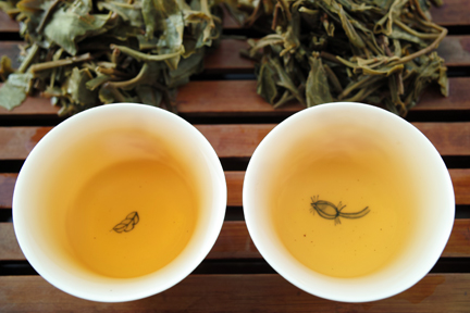 易武古樹青餅2010年