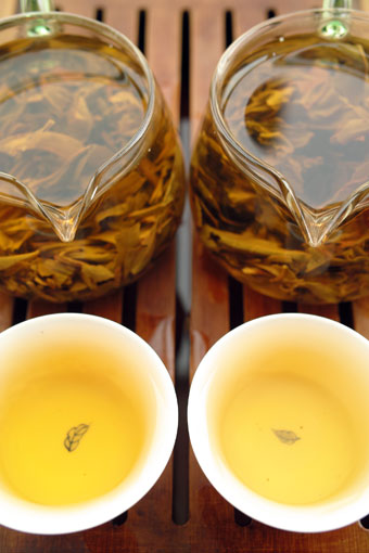 易武古樹青餅2010年