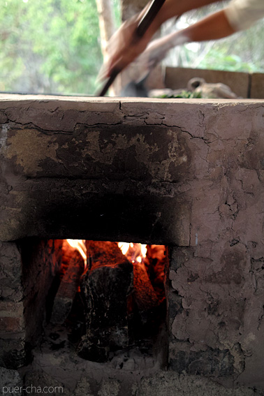易武古樹青餅プーアル茶