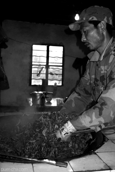 易武古樹青餅プーアル茶