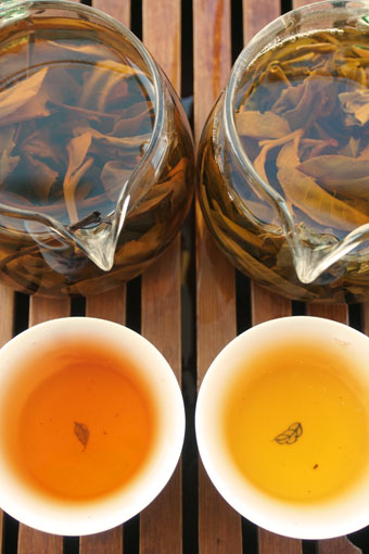 易武古樹青餅2010年