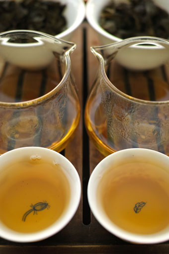 易武古樹青餅2010年