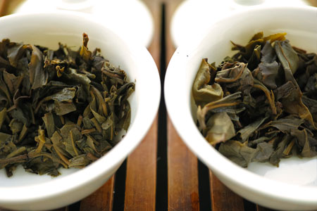 易武古樹青餅2010年