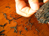 早期藍印鉄餅プーアル茶