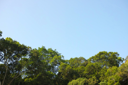 巴達山の朝の空