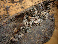 中茶牌簡体字鉄餅プーアル茶