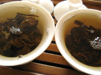 「7542七子餅茶99年無内飛」