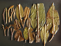 紫大益7542青餅00年プーアル茶