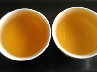 「紫大益7542青餅00年」と「紫大益4号青餅03年」