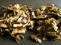 「紫大益7542青餅00年」と「紫大益4号青餅03年」